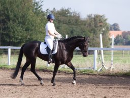 IMG_7842_web